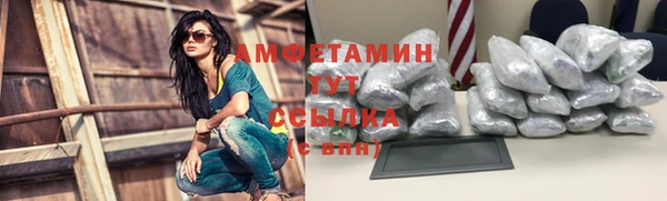 прущие грибы Вязьма